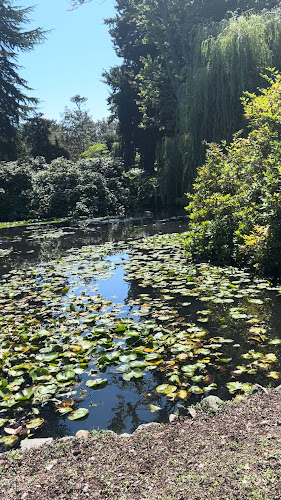 Comentarii opinii despre Beacon Drive In Restaurant