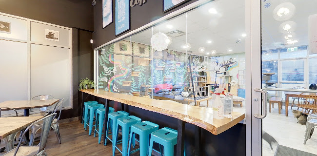 The Purrfect Cup - A Cat Cafe - Fredericton