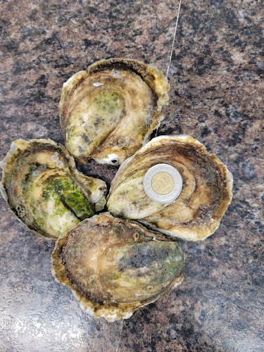 211 St. George St, Moncton, NB E1C 1V8