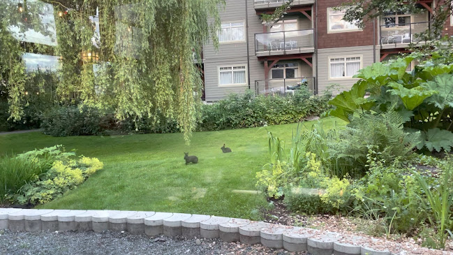 Locals Restaurant - Hospitality and gastronomy