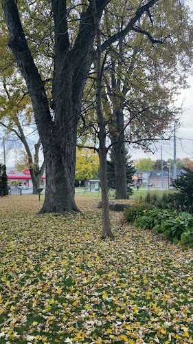 One Eyed Jack Pub & Grill Lindsay