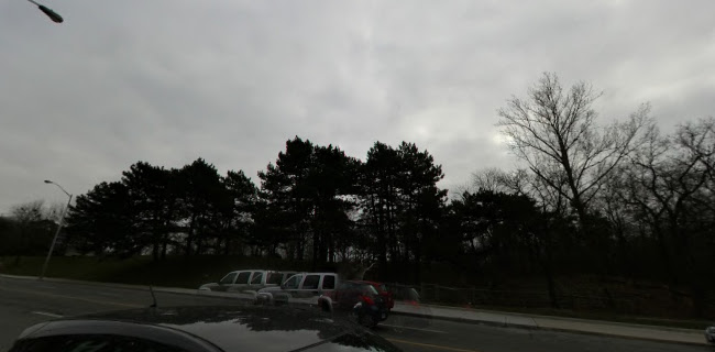 Opinii despre Mackenzies High Park în Toronto - Hospitality and gastronomy