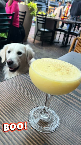 El Guapo - Mexican Restaurant Vancouver - Vancouver