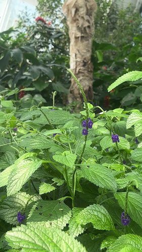 Garden Café - Hospitality and gastronomy