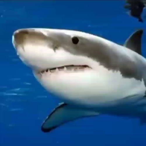 George's Kitchen + Ice Cream