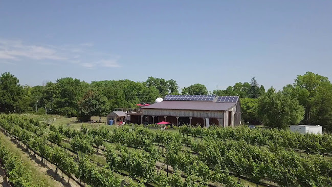 Opinii despre Calamus Estate Winery în Lincoln - Hospitality and gastronomy