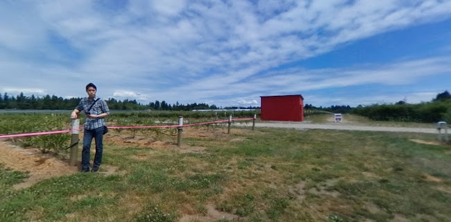 Opinii despre Driediger Farms Market în Langley Twp - Hospitality and gastronomy