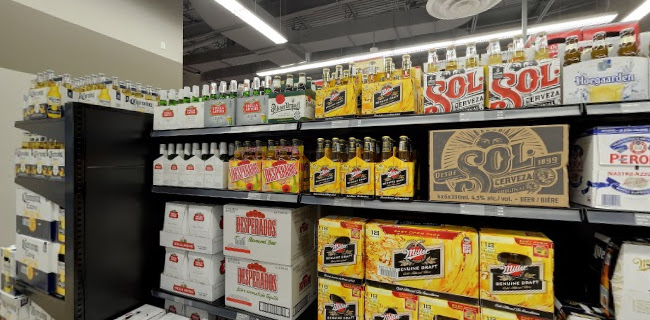 Beer Store 2022 - Hospitality and gastronomy