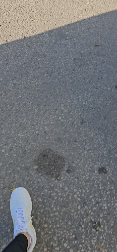 The Roost on Corydon - Hospitality and gastronomy