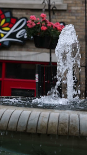 Opinii despre Levant Restaurant în Mississauga - Hospitality and gastronomy