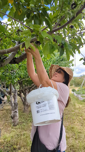 Westbank Corner Fruit Stall