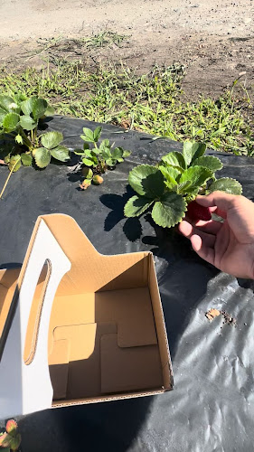 CanWest Farms Ltd. - Richmond