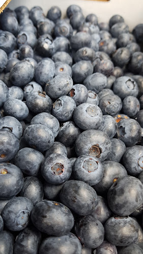 4365 McLeod Rd, Powell River, BC V8A 0T1