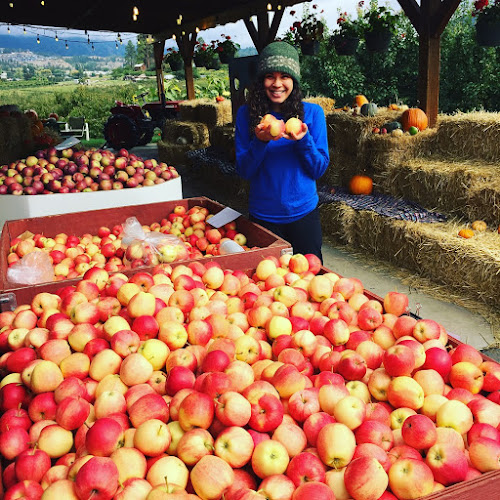 Opinii despre Paynter's Fruit Market în West Kelowna - Hospitality and gastronomy