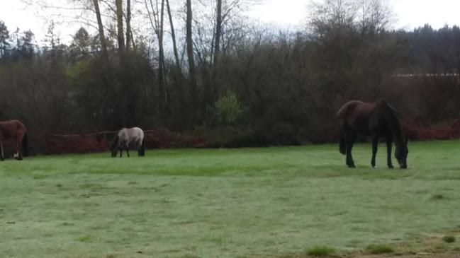 Opinii despre Cedar Farmer's Market în Nanaimo - Hospitality and gastronomy