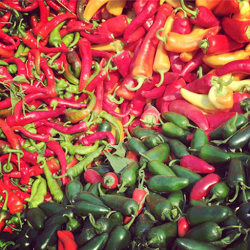 3687 Paynter Rd, West Kelowna, BC V4T 1R1