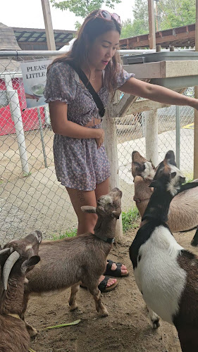 Don-O-Ray Farmers Market - Hospitality and gastronomy