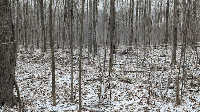 Comentarii opinii despre Shaws Catering