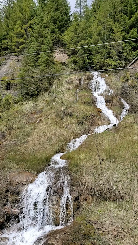 Port701 Marinaside Dining | Raw Bar - Nelson