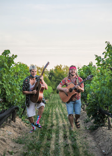 Calamus Estate Winery - Lincoln