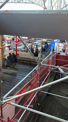 Blue Parrot - Hospitality and gastronomy