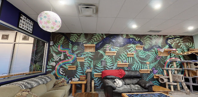 580 Two Nations Croisement Unit 9, Fredericton, NB E3A 0X9