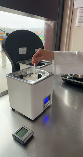 The Wine Factory - Hospitality and gastronomy