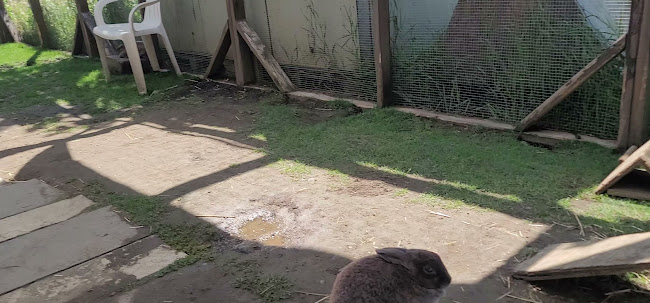 Don-O-Ray Farmers Market - Kelowna