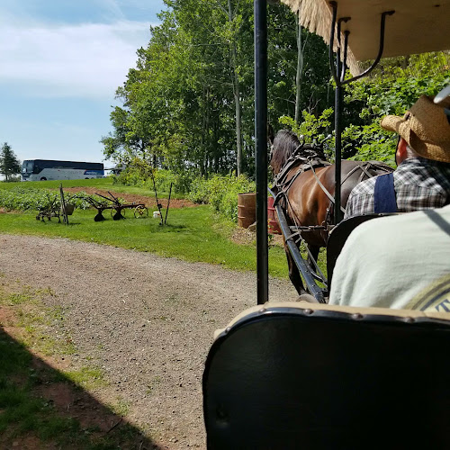 COWS Cavendish Boardwalk - Cavendish