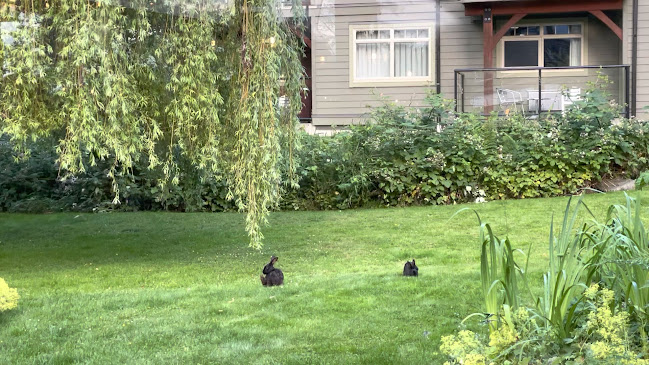 Locals Restaurant - Courtenay