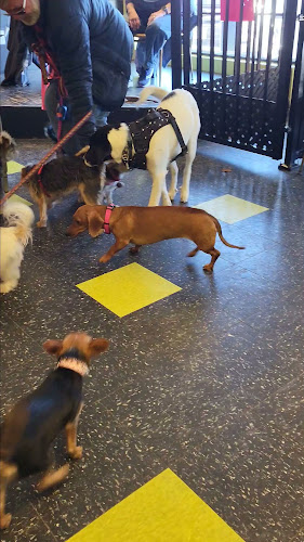 Munchies Coffee House & Barkery