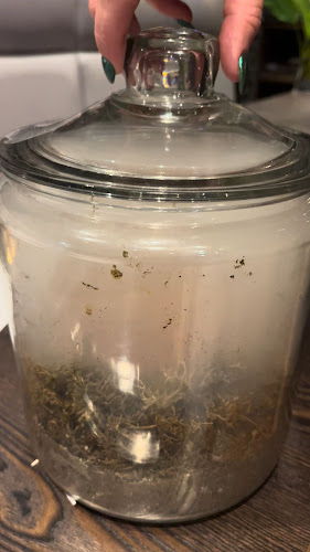 S&V Uptown - Waterloo