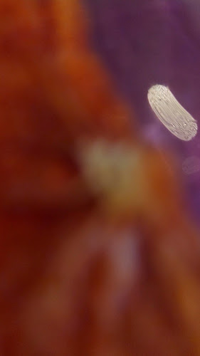 Opinii despre Bodega în Victoria - Hospitality and gastronomy