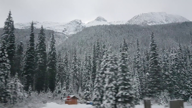 Clarke & Co. - Victoria