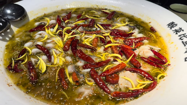 TAI ER SICHUAN CUISINE 太二酸菜鱼 (RICHMOND) - Richmond