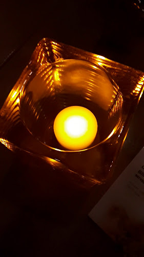 Comentarii opinii despre The Goose