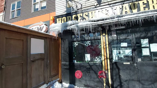 Horseshoe Tavern - Toronto