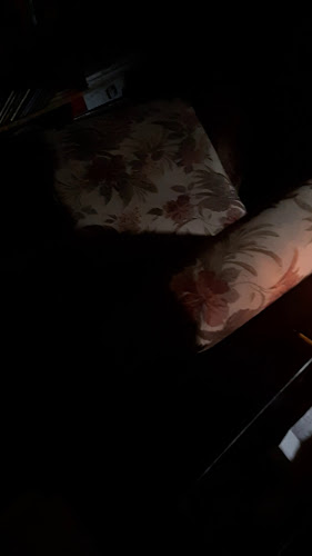 1918 Commercial Dr, Vancouver, BC V5N 4A7