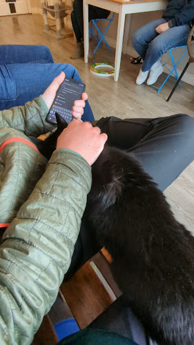 Mad Catter Cafe - Hospitality and gastronomy