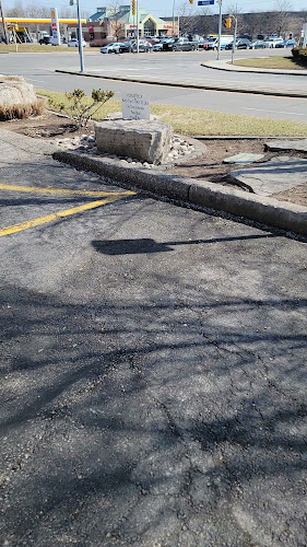 Comentarii opinii despre The Judge & Jury