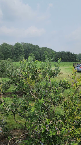 Opinii despre Millar Berry Farms în London - Hospitality and gastronomy