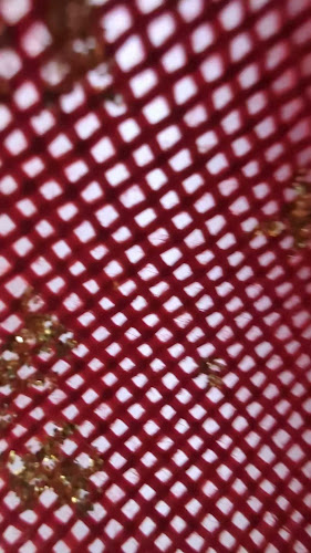 Opinii despre Z's Creamy Creation în Calgary - Hospitality and gastronomy