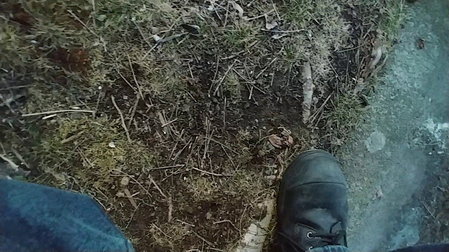 Pho Chan - Hospitality and gastronomy