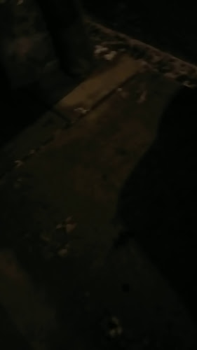 The Irish Rose Pub - Hospitality and gastronomy