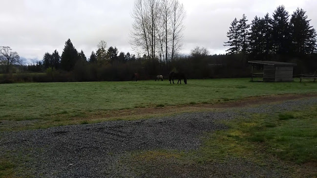 Cedar Farmer's Market - Nanaimo