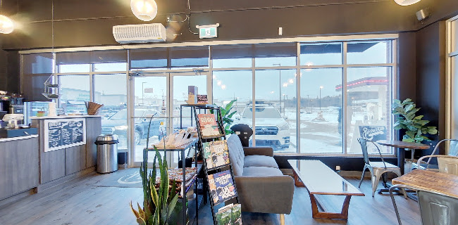 The Purrfect Cup - A Cat Cafe