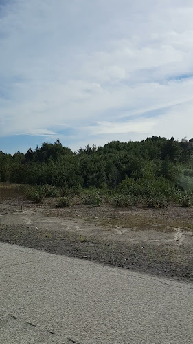 1 Causley St, Blind River, ON P0R 1B0