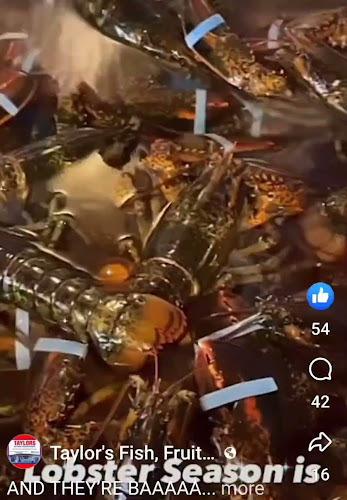 528 Conception Bay Hwy, Conception Bay South, NL A1X 2M2