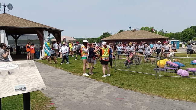 Opinii despre Dock Shoppe Ice Cream în North Bay - Hospitality and gastronomy