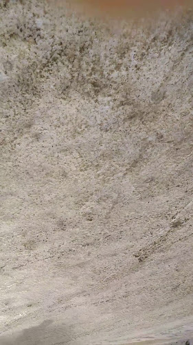 Chicken Delight | Brandon